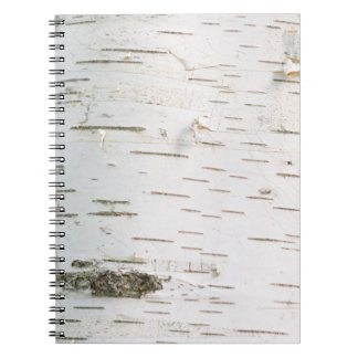 Caderno Espiral padrão de casca de bétula
