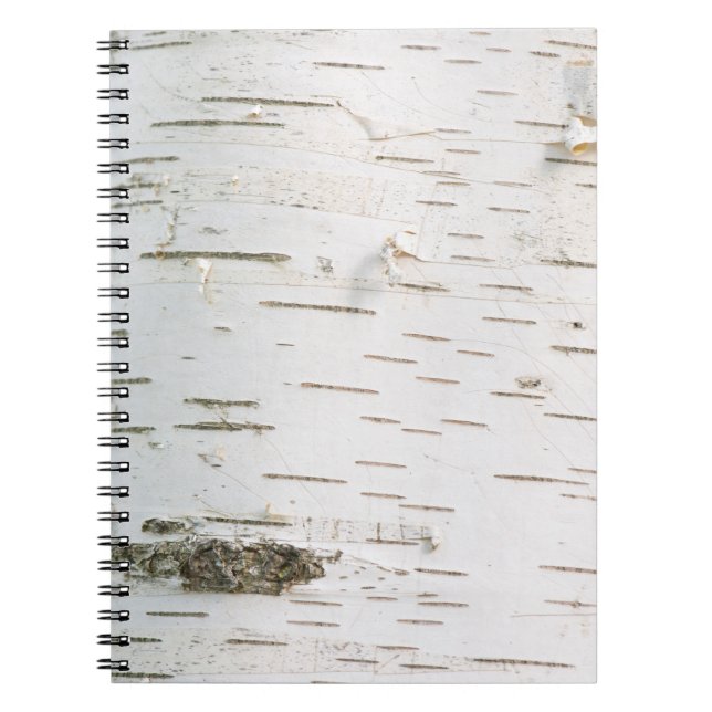 Caderno Espiral padrão de casca de bétula (Frente)