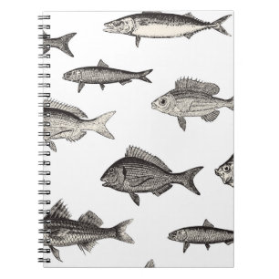 Caderno Espiral Padronização de peixe-safra, peixe, patins