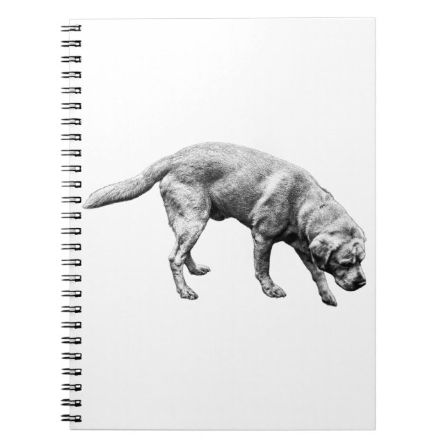 Caderno Espiral Páginas de Devoção (Frente)