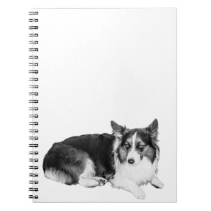 Caderno Espiral Páginas de Estilidade