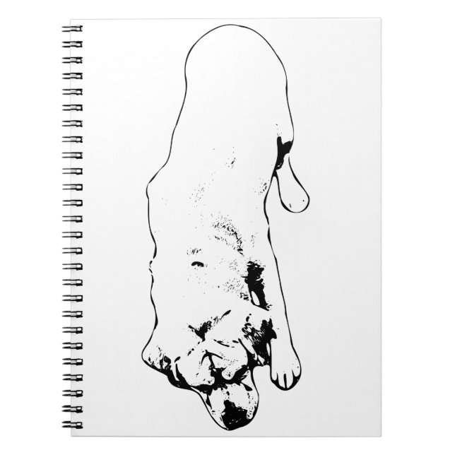 Caderno Espiral Páginas de respeito (Frente)
