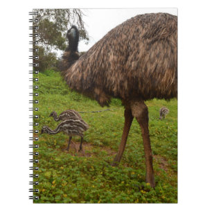 Caderno Espiral Pai Emu Com Pintinhos,