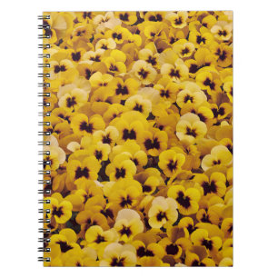 Caderno Espiral Painéis Amarelos