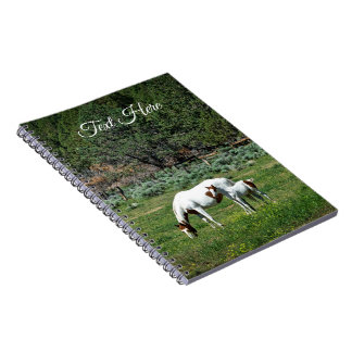 Caderno Espiral Paint Horse Mare and Foal Personalizado