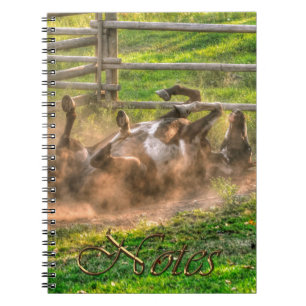 Caderno Espiral Paint Horse Rolling in Dust Funny Photo