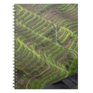 Caderno Espiral Paisagem de terraços de arroz na montanha,