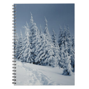 Caderno Espiral Paisagem do inverno