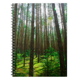 Caderno Espiral Paisagem Natural Cenário Florestal da Bielorrússia