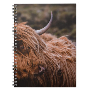 CADERNO ESPIRAL PAISAGENS DRAMÁTICAS E MOÓDICAS INSPIRADAS PELA
