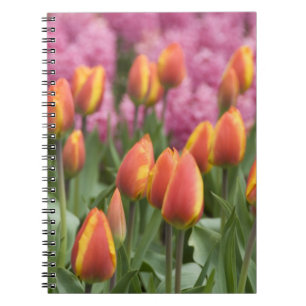 Caderno Espiral Países Baixos (também conhecidos por Holland), L