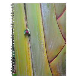 Caderno Espiral Palm Tree de Viajantes