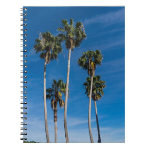 Caderno Espiral Palmas Altas Curvando