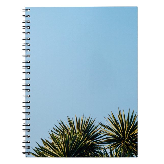 Caderno Espiral palmeira (Frente)