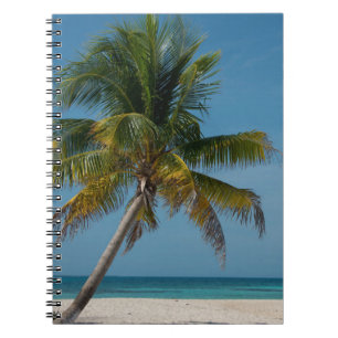 Caderno Espiral Palmeira e praia de areia branca 2