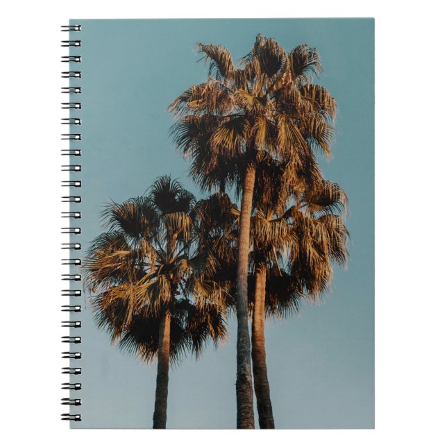 Caderno Espiral Palmeiras (Frente)