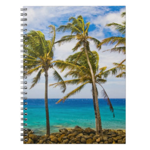 Caderno Espiral Palmeiras de coco (Cocos nucifera) balançando ao