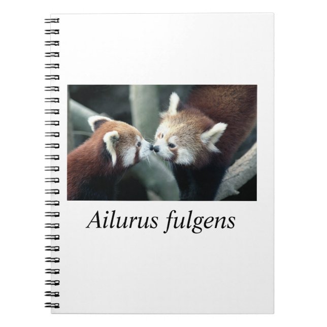 Caderno Espiral Panda#1 vermelho (Frente)