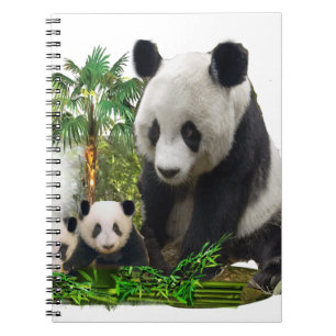 Caderno Espiral Panda Bears
