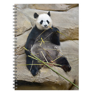 Caderno Espiral Panda gigante comendo bambu