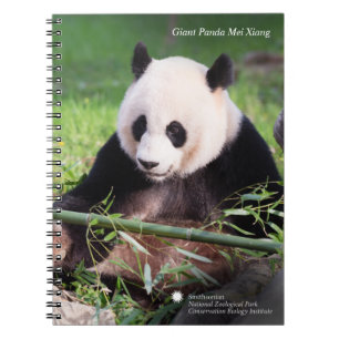 Caderno Espiral Panda gigante Mei Xiang