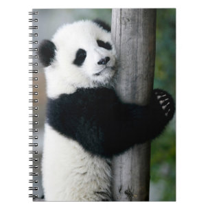 Caderno Espiral Panda que abraça o cargo