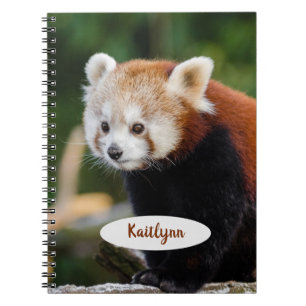 Caderno Espiral Panda Vermelha Personalizada