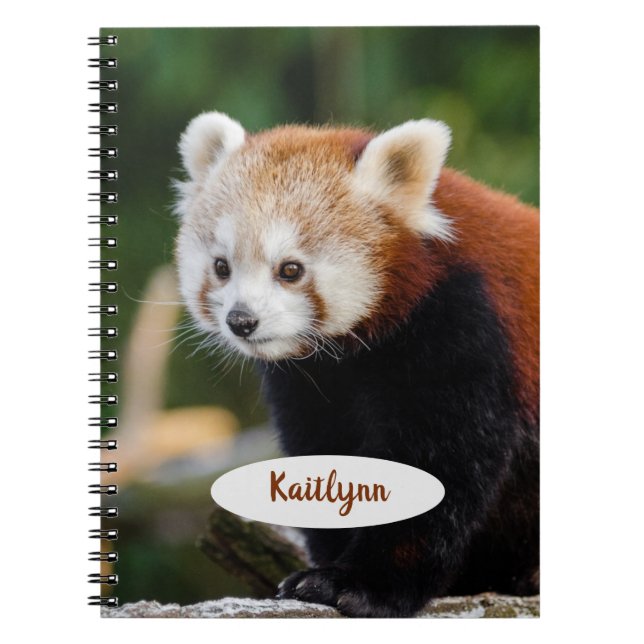 Caderno Espiral Panda Vermelho Personalizado (Frente)