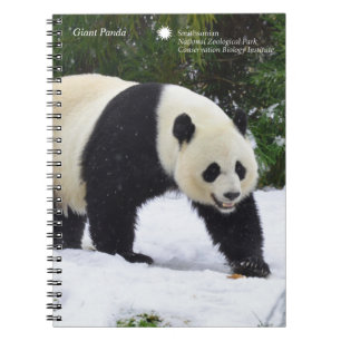 Caderno Espiral Pandas gigantes de Smithsonian na neve