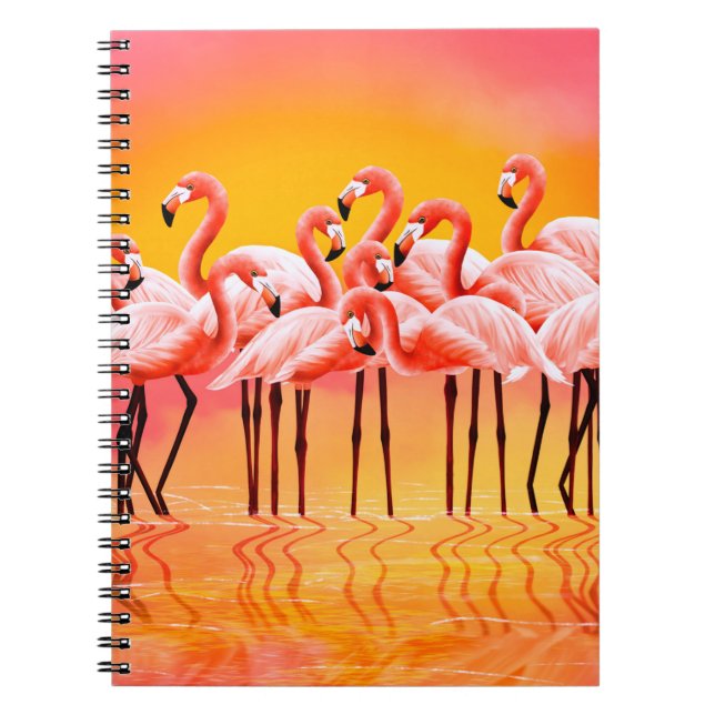 Caderno Espiral Panorama de flamingos cor-de-rosa brilhante (Frente)