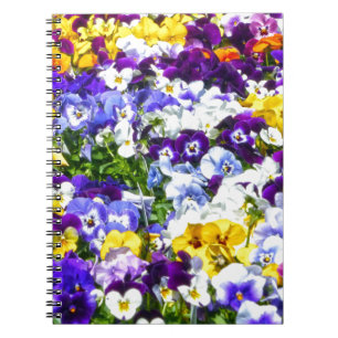 Caderno Espiral Pansias