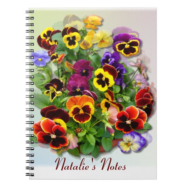 Caderno Espiral Pansy  Display (Frente)