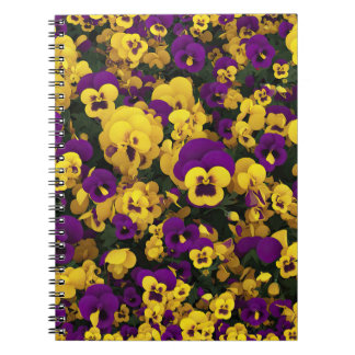 Caderno Espiral Panteras amarelas e púrpuras