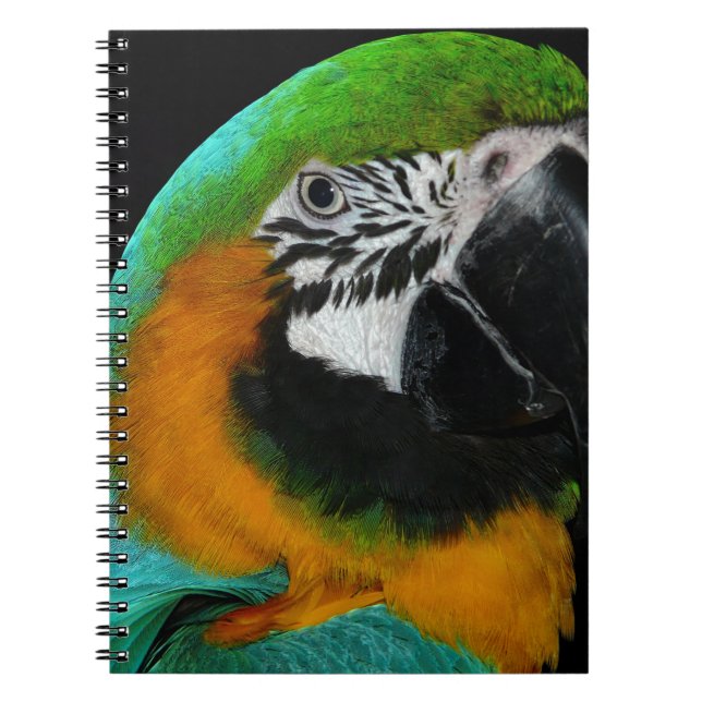 Caderno Espiral Papagaio (Frente)