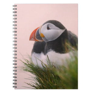 Caderno Espiral Papagaio-do-mar (Fratercula arctica)