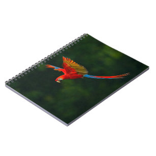 Caderno Espiral Papagaio em vôo