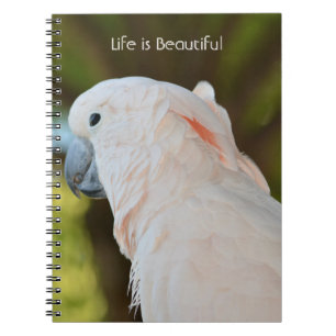 Caderno Espiral Papagaio Rosa no Pé de Árvore Kauai (minha fotogra