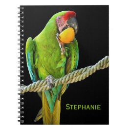 Caderno Espiral Papagaio Verde Ara Militaris