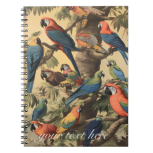 Caderno Espiral Papagaios coloridos de cena botânica em árvore