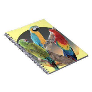 Caderno Espiral Papagaios do Macaw