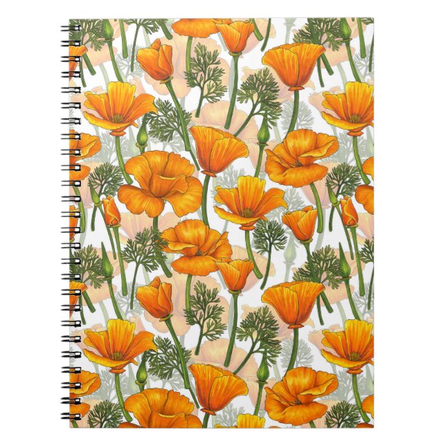 Caderno Espiral Papanicolau da Califórnia (Frente)