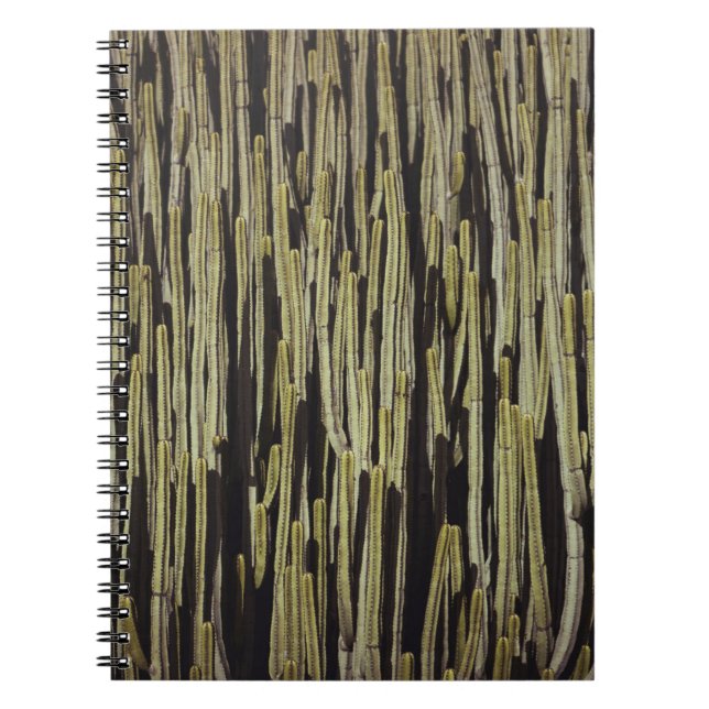Caderno Espiral Papel de parede do cacto verde (Frente)