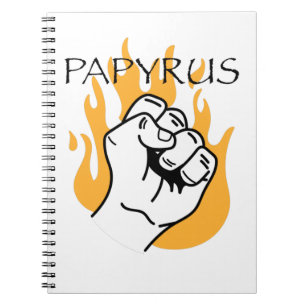Caderno Espiral paprilo