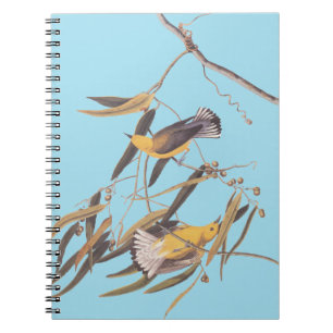 Caderno Espiral Par amarelo de pássaro prothonotário amarelo de Au