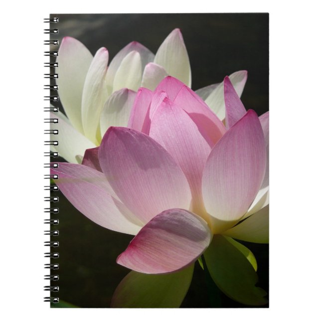 Caderno Espiral Par de Flores de Lotus II (Frente)