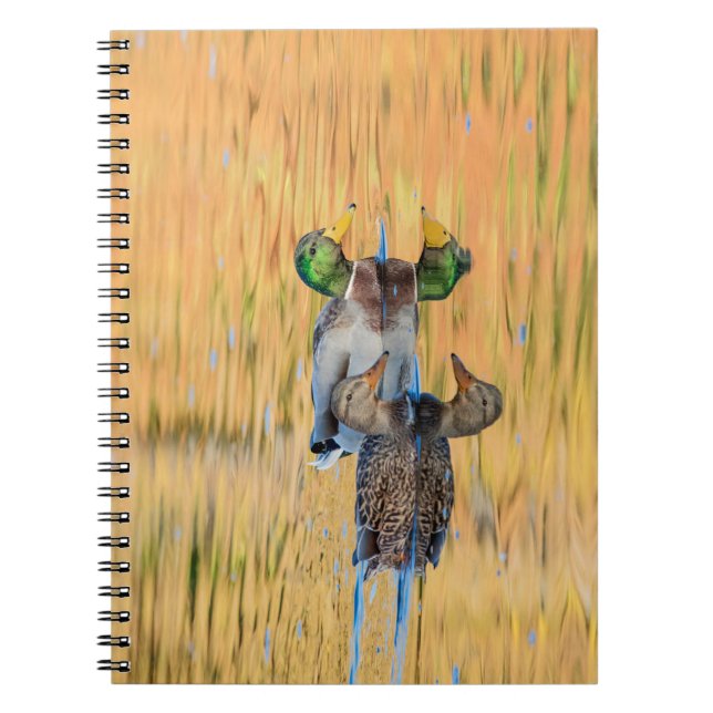 Caderno Espiral Par de Mallards (Frente)