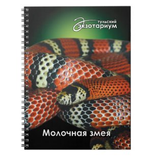 Caderno Espiral Para o cobra de leite dos amantes do réptil
