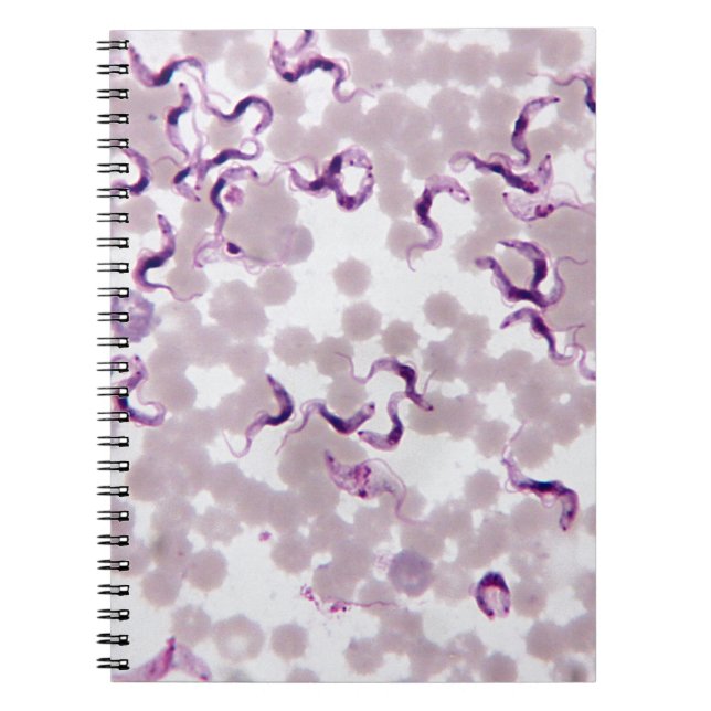 Caderno Espiral Parasita Trypanosoma do sangue (Frente)