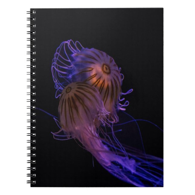Caderno Espiral Parceiros de dança de águas-vivas (Frente)