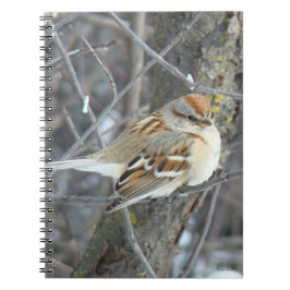 Caderno Espiral Pardal Comum B24